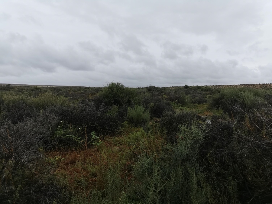 0 Bedroom Property for Sale in Williston Northern Cape